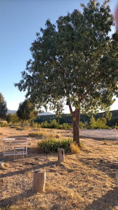 Holiday home El Telar Arte Y Naturaleza Pradena