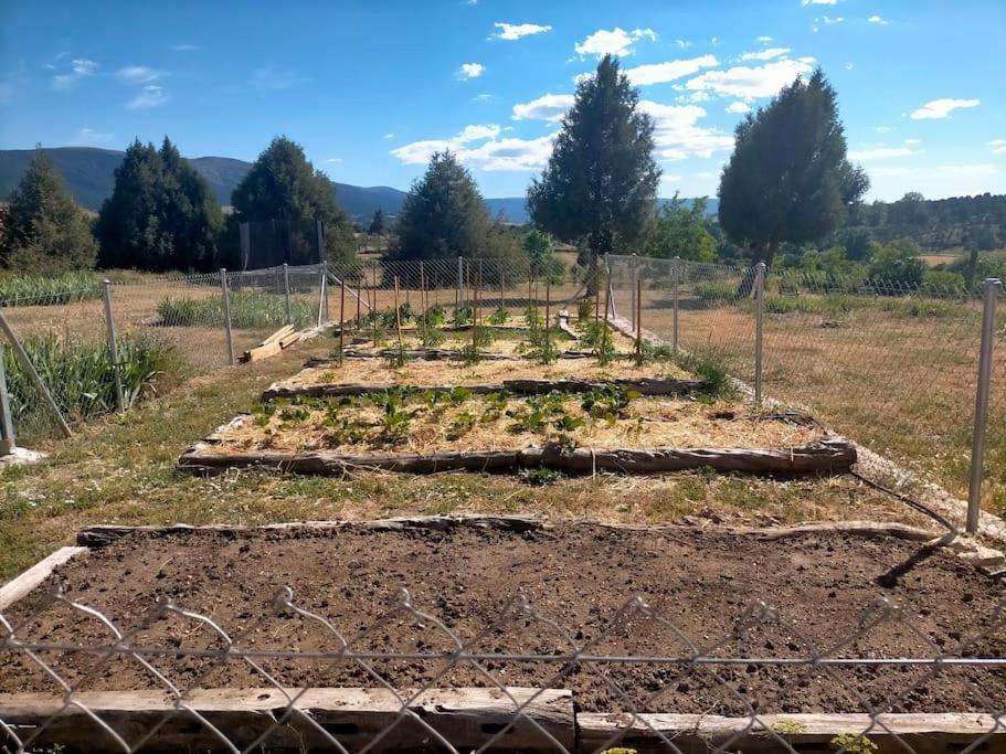 El Telar Arte Y Naturaleza Holiday home